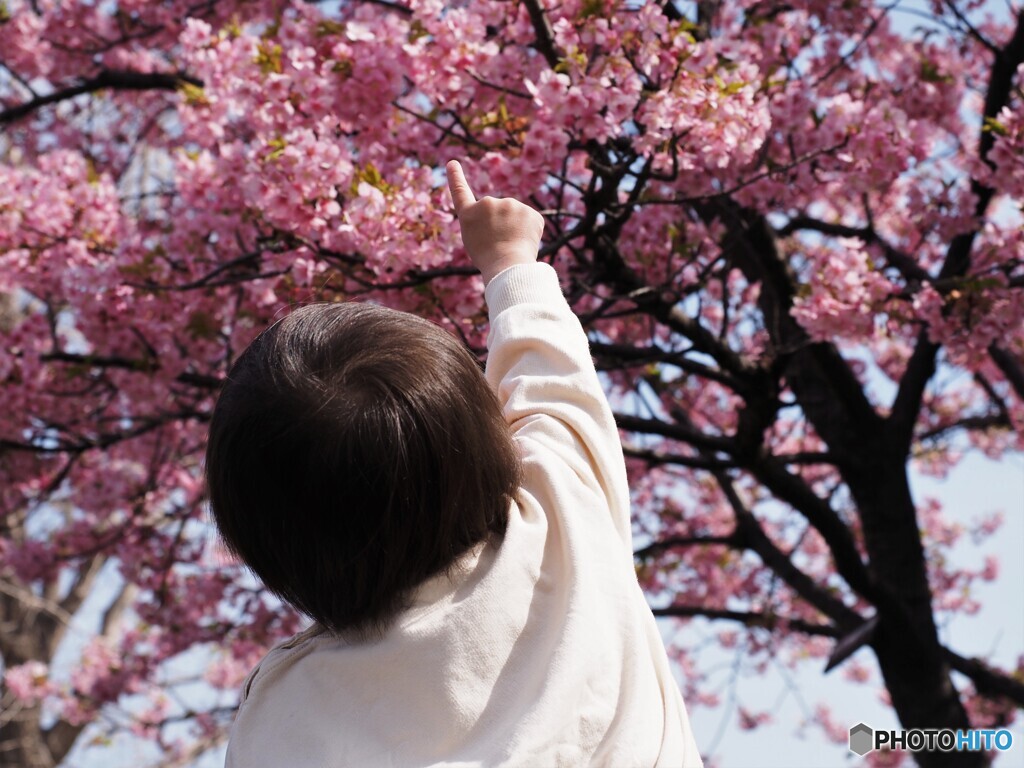 あ、、そこ～ⅳ