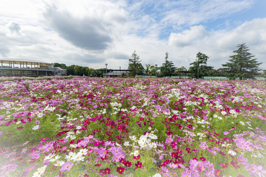 花広場