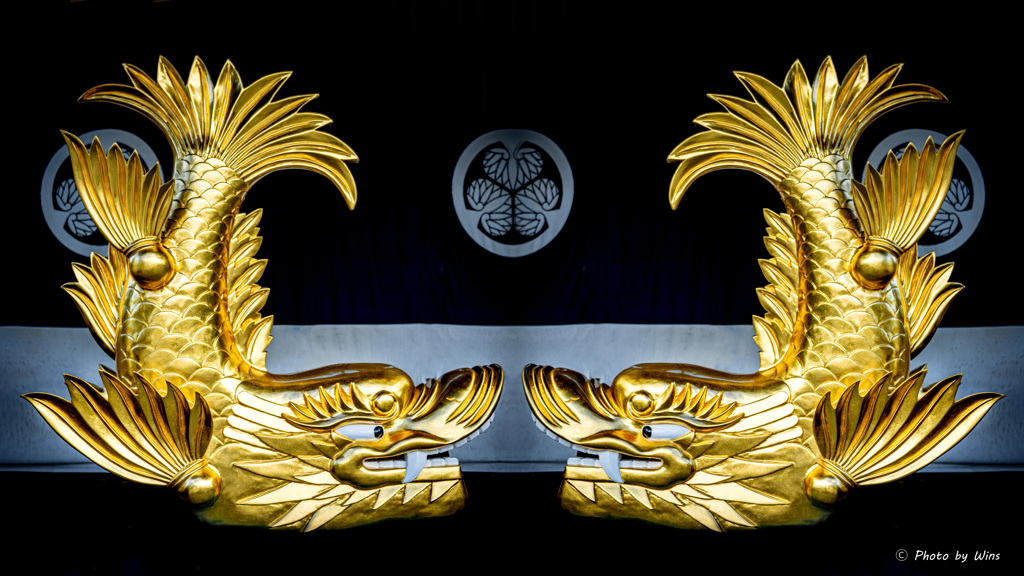 金鯱見参