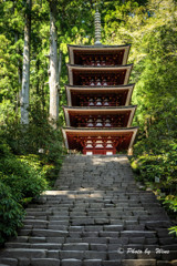 新緑に建つ