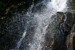 飛沫