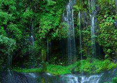 緑湧く