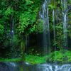緑湧く