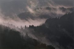 朝もや