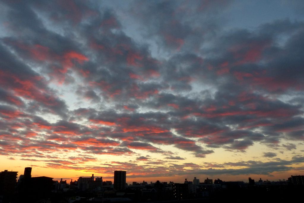 茜雲に染めて