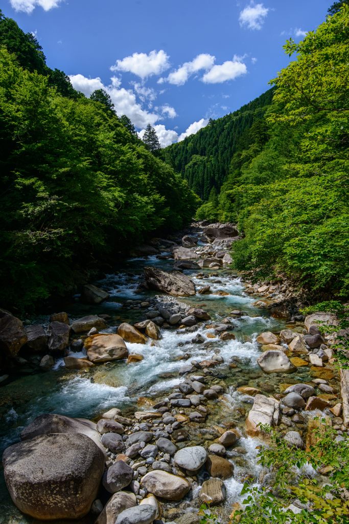 夏を奏でる