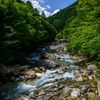 夏を奏でる