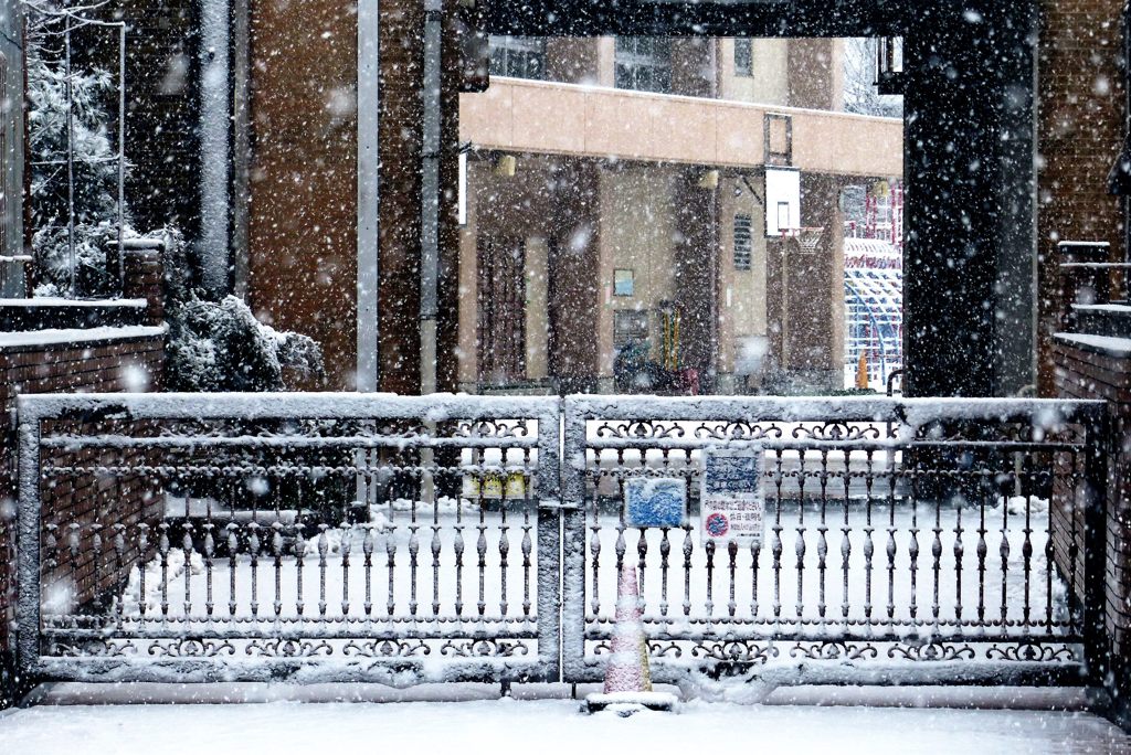 雪の降った日