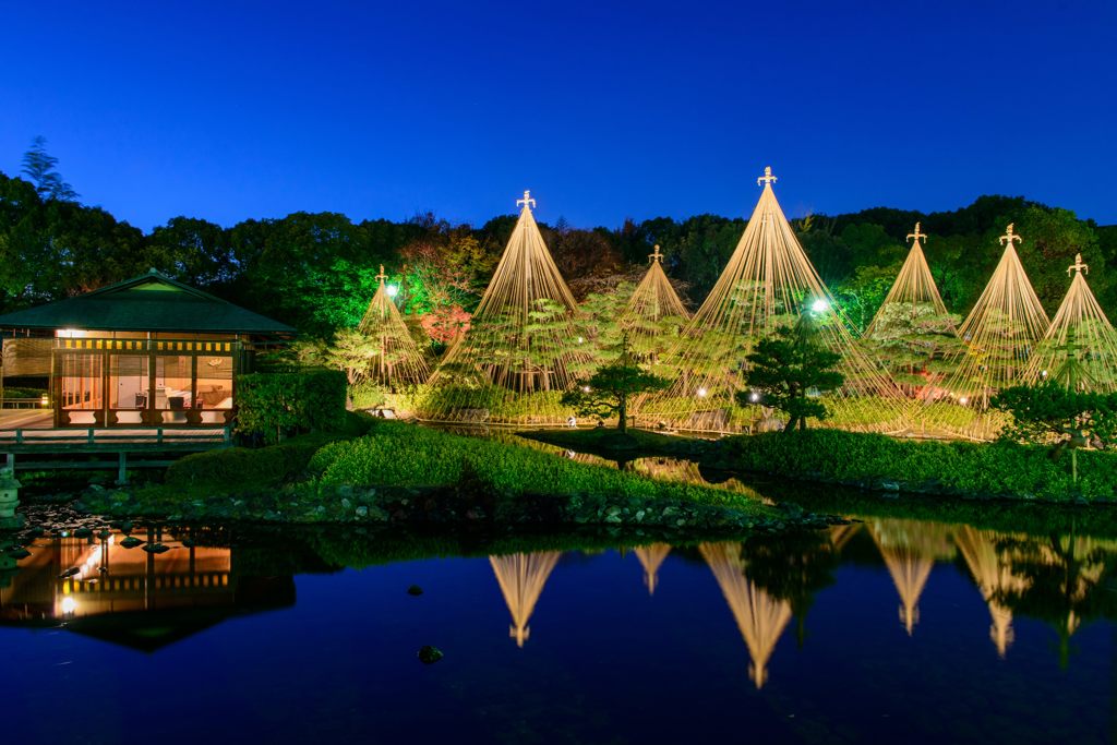 夢一夜