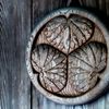 紋所