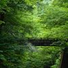 新緑橋