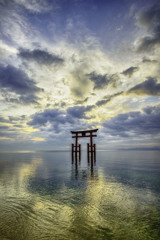 希望の光