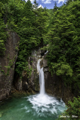 夏響く