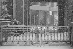 雪の降った日Ⅱ