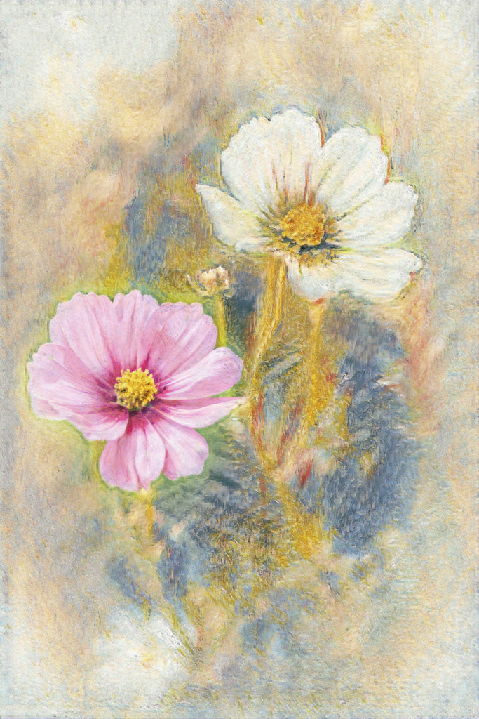 秋桜