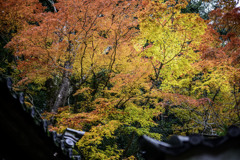 彩の瞬(とき)