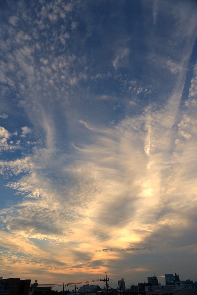 夕顔