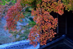 彩りの季