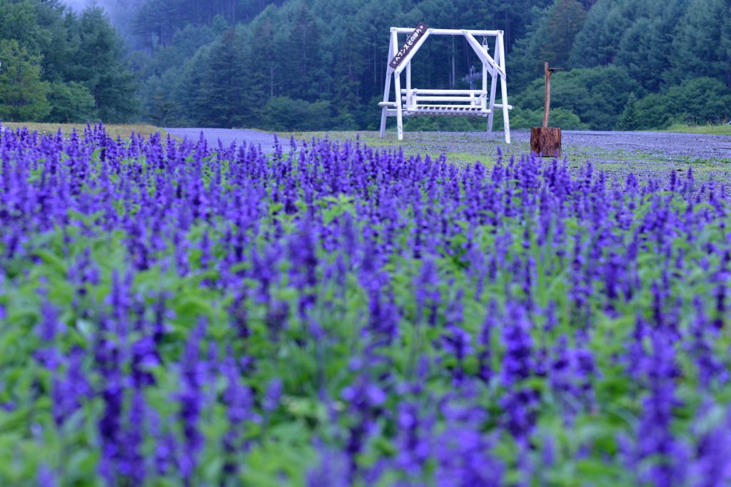 高原の薫り