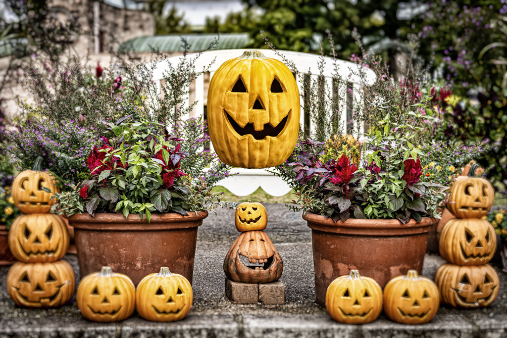 ハロウィン