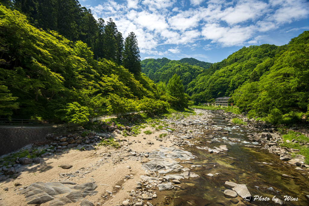 新緑晴れ