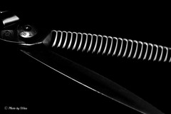 Scissors