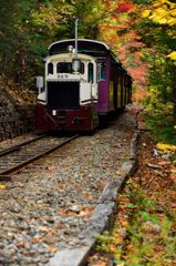 森林鉄道の秋