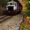 森林鉄道の秋