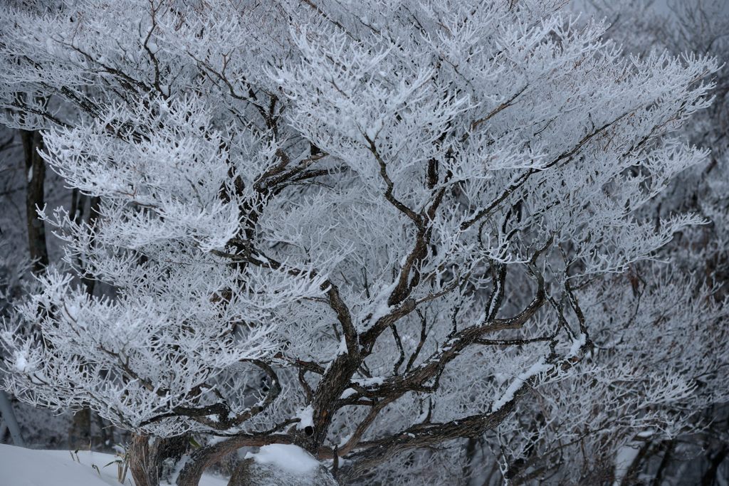 雪のオブジェ