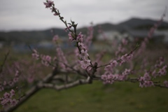 今年もこの季節がやってきた・・・