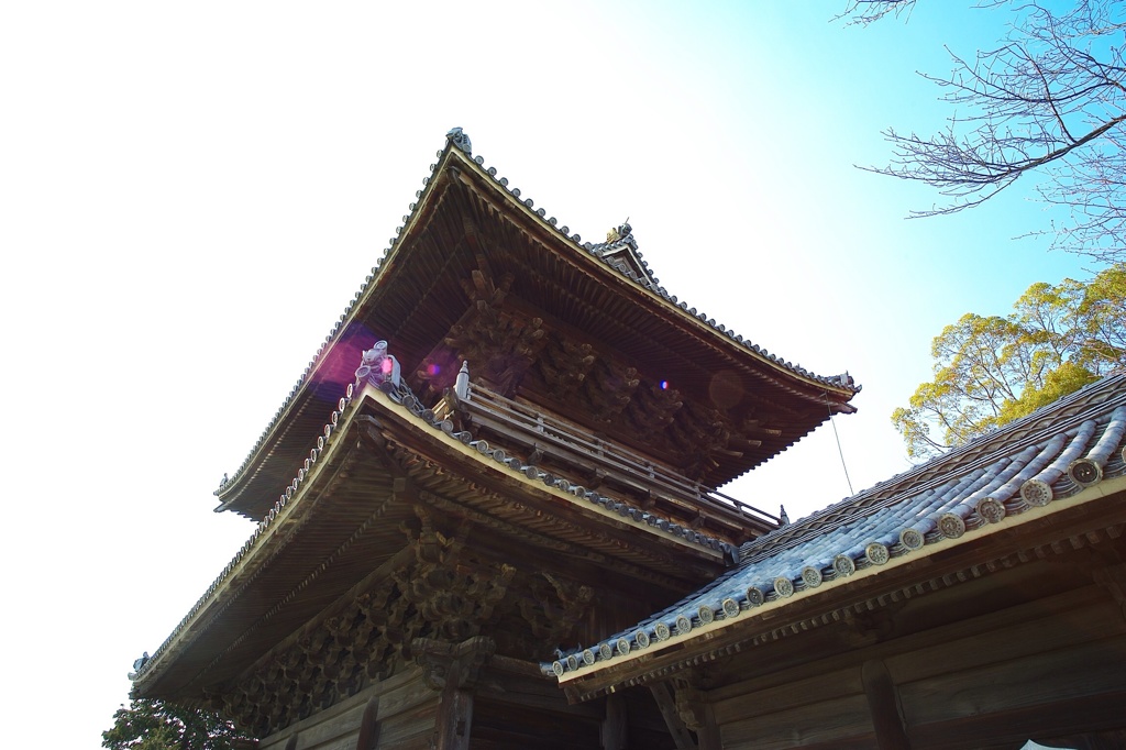山門にかかる春日(大樹寺)