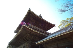 山門にかかる春日(大樹寺)