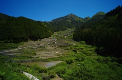 四谷千枚田(愛知県新城市)