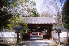 豊橋 賀茂神社へ