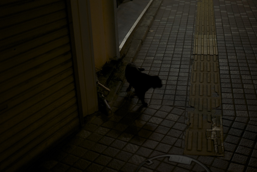 黒い影
