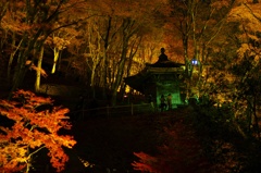 夜の社