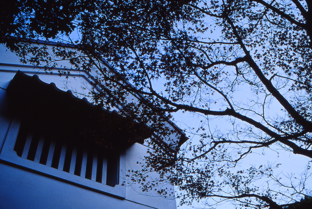 白壁と空
