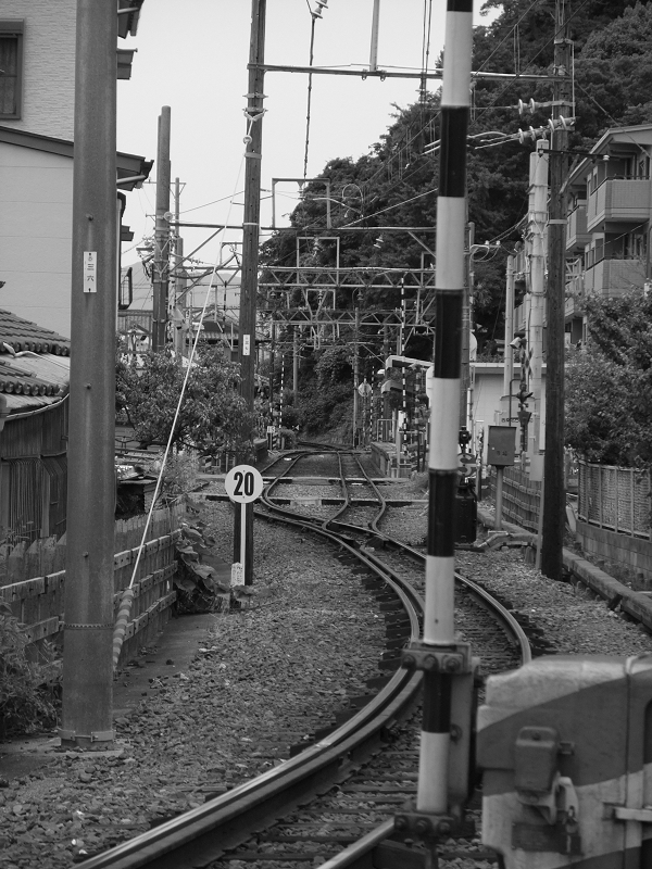 惹かれるものをしりたくて　その３