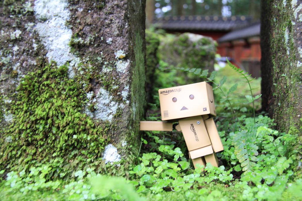 疲れた・・・・