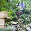 俺とダンボーのダラダラ旅写真その10
