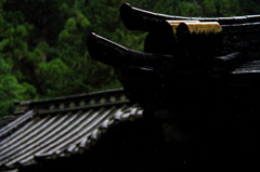 雨の寺院