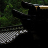 雨の寺院