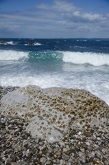 強風の海辺