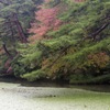 神戸市立森林植物園　その2
