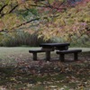 神戸市立森林植物園　その6