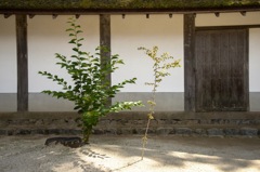 静寂