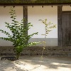 静寂