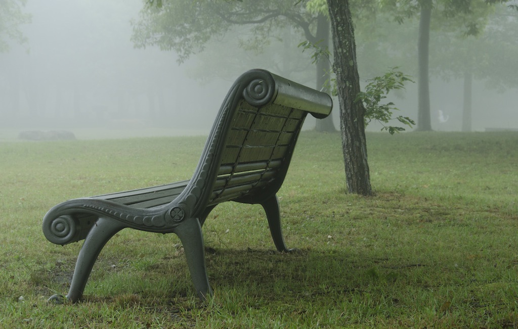 Fog in the woods part 1
