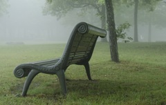 Fog in the woods part 1