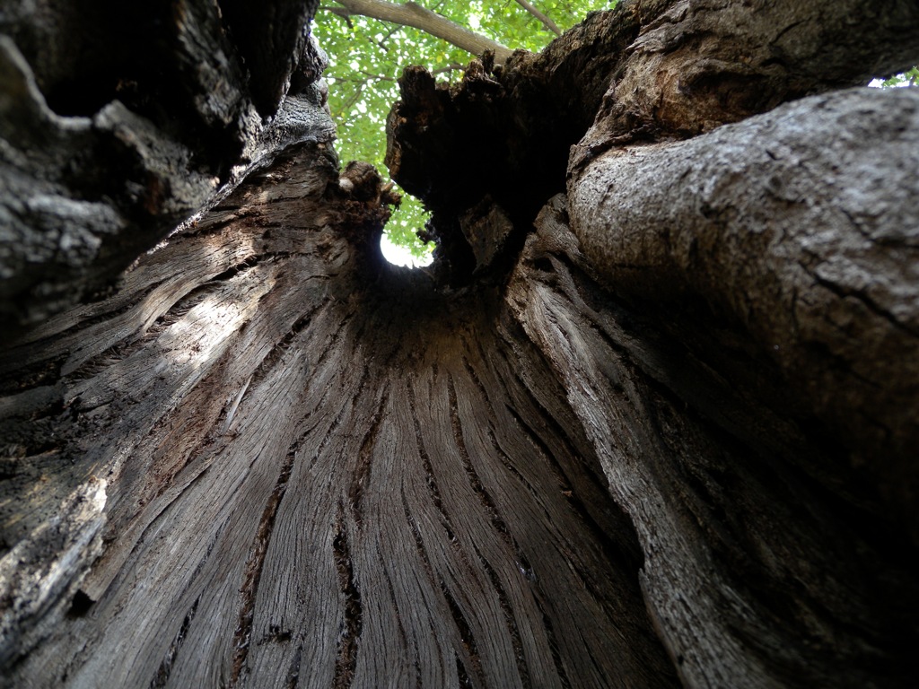 タイムトンネル